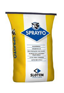 SPRAYFO AMARILLO
