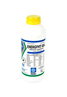 ENERGYVIT KSA