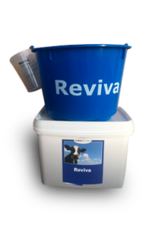 REVIVA